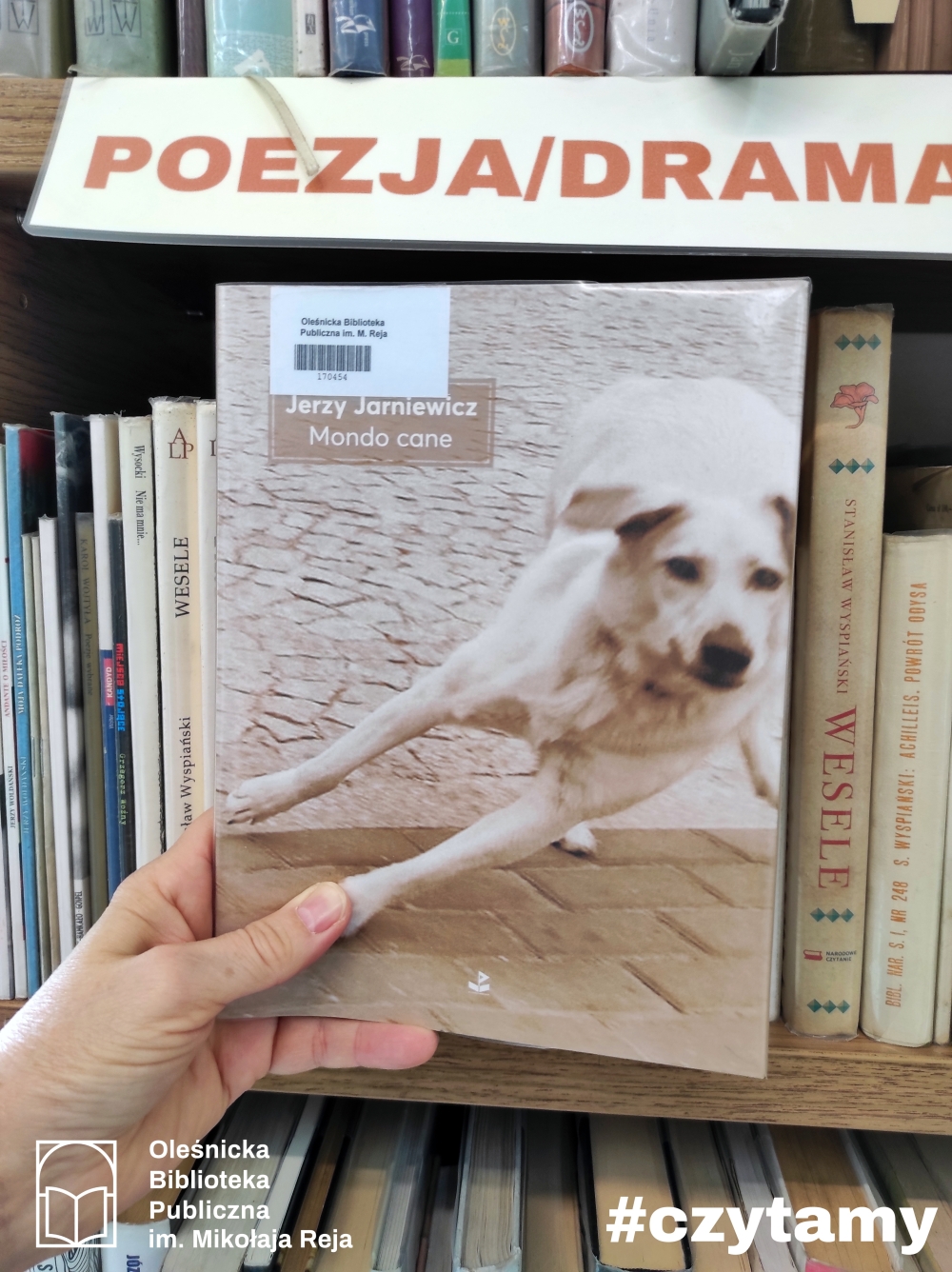 Okładki książki Jerzego Jarniewicza "Mondo cane"