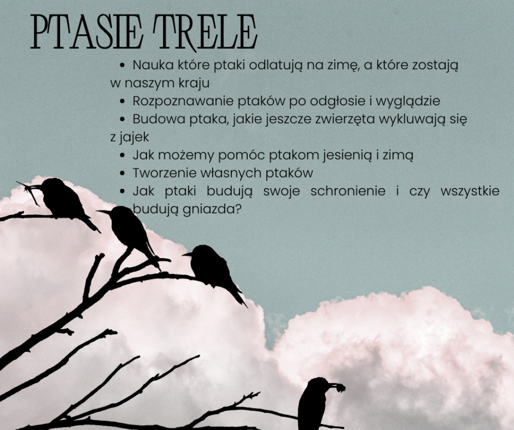 Szczegóły zajęć o ptakach