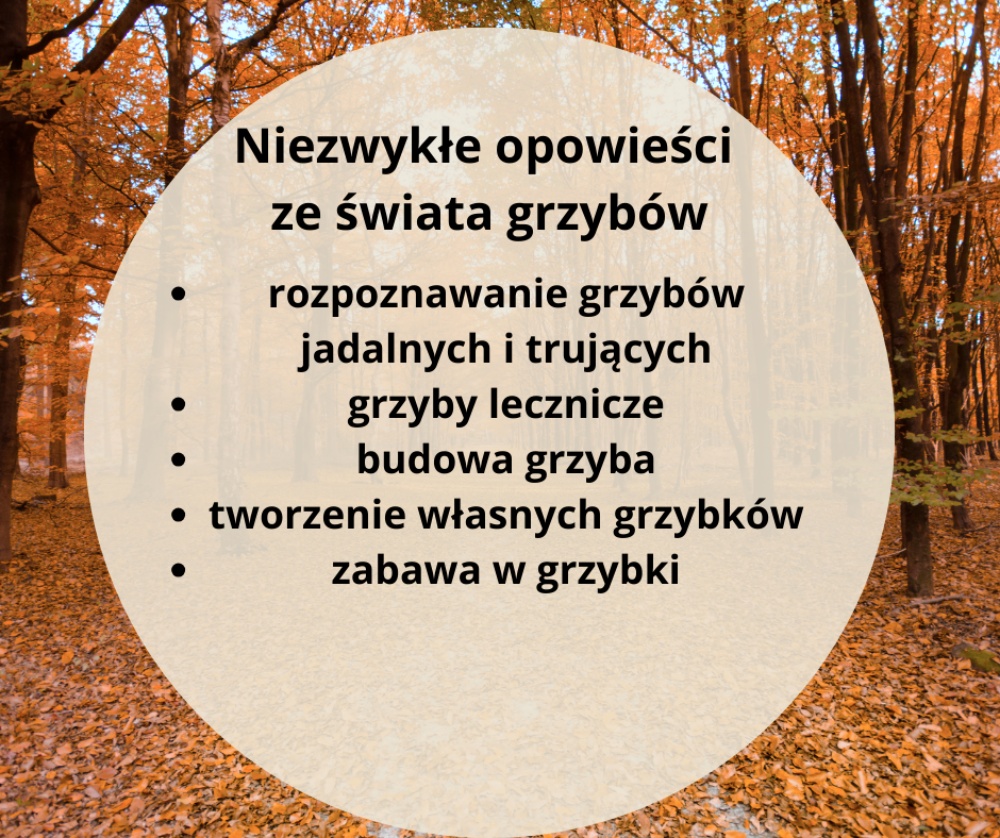 Szczegóły zajęć o grzybach