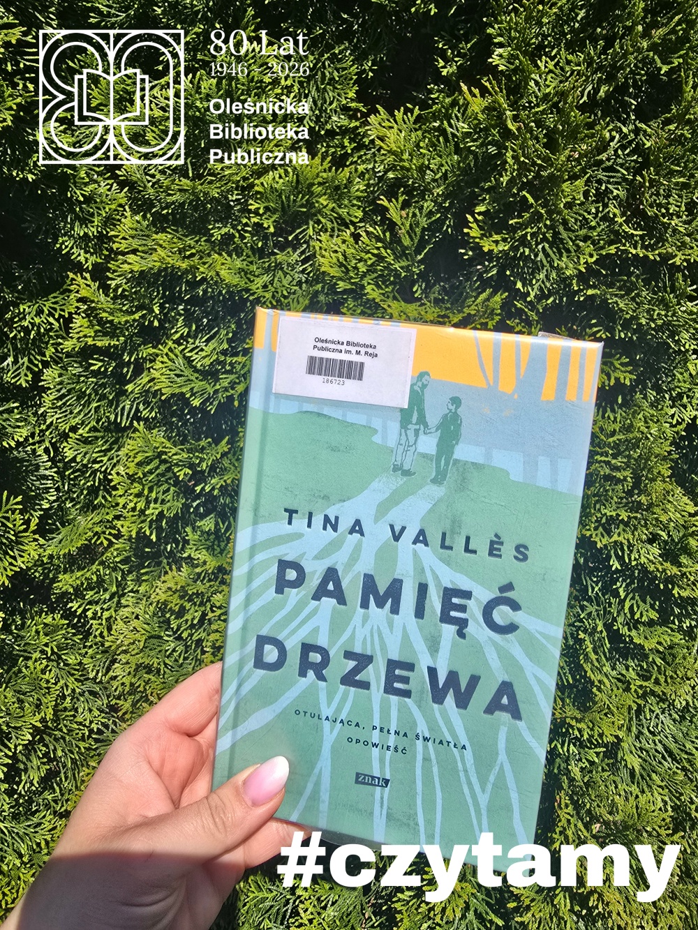 Okładka książki "Pamięć drzewa", trzymana w dłoni na tle iglastego krzaka Okładka książki "Pamięć drzewa", trzymana w dłoni na tle iglastego krzaka