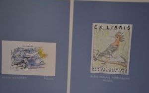 Fotorelacja ze spotkania w ramach obchodów Ogólnopolskiego Tygodnia Bibliotek