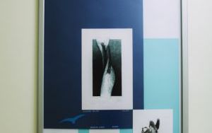 Plansza z XI międzynarodowej wystawy ekslibrisów i małych form graficznych "Ptaki świata. Podniebni wędrowcy"