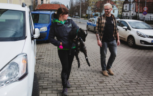 Primaaprilisowa sesja ze zwierzakami z Przytu Pyska