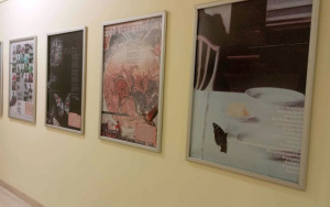 Zdjęcia wystawy ""Na łące i w poezji. Owady"