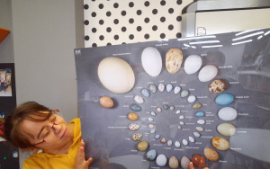 Fotorelacja z zajęć z "Lisim Zakątkiem"