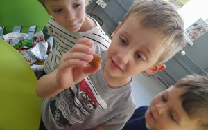 "Żabki" z Przedszkola "Na Ptasiej"