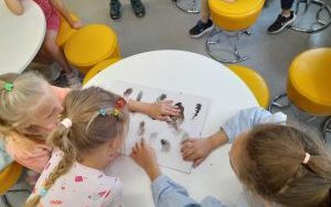 Uczestnicy zajęć z "Lisim Zakątkiem" 4.07.2024