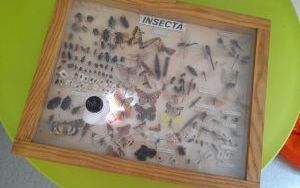 Uczestnicy zajęć z "Lisim Zakątkiem"