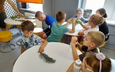 Fotorelacja z zajęć z Lismi Zakątkiem