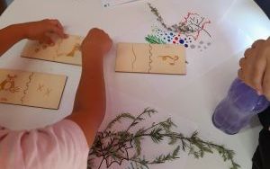 Fotorelacja z zajęć z Lismi Zakątkiem