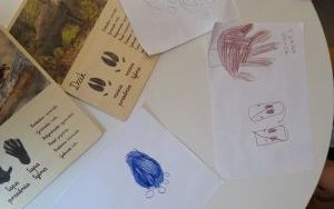 Fotorelacja z zajęć z Lismi Zakątkiem