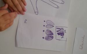 Fotorelacja z zajęć z Lismi Zakątkiem