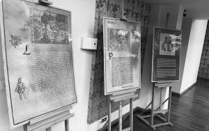 Fotorelacja ze Święta ulicy Mikołaja Reja