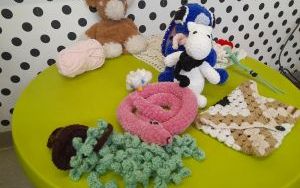 Fotorelacja z warsztatów szydełkowania w Bibliotece "Pod Sową" (1)