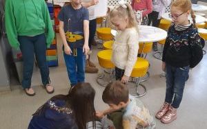 Zajęcia przyrodniczo-edukacyjne z "Lisim Zakątkiem"