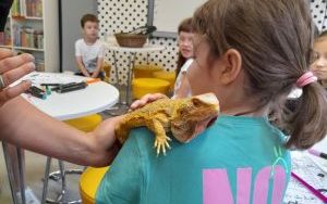 Uczestnicy zajęć z Lisim Zakątkiem