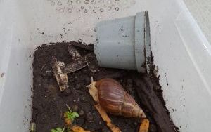 Fotorelacja z zajęć z "Lisim Zakątkiem" (5)