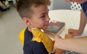 Fotorelacja z zajęć z "Lisim Zakątkiem" (3)