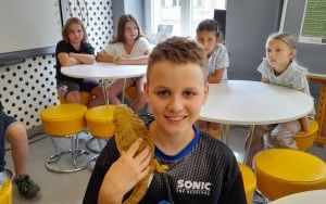 Fotorelacja z zajęć z "Lisim Zakątkiem" (5)