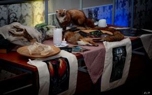 Fotorelacja z Wiedźmińskiego Wieczoru (5)