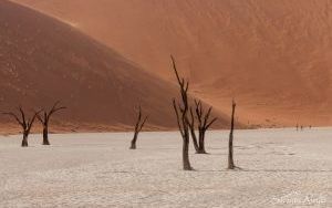 Zdjęcia Roberta Gondka z podróży