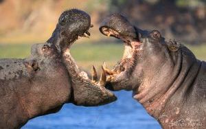 Zdjęcia Roberta Gondka z podróży