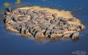 Zdjęcia Roberta Gondka z podróży