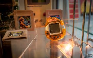 Tamagotchi w gablocie
