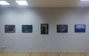 Fotografie promujące wystawę fotografii Agnieszki Przybyłowicz