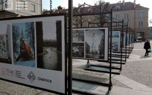 Zdjęcia dokumentujące wystawę "Cztery pory roku" na oleśnickim Rynku