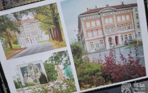 Zdjęcia dokumentujące wystawę "Cztery pory roku" na oleśnickim Rynku