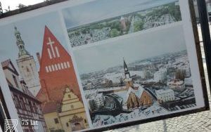 Zdjęcia dokumentujące wystawę "Cztery pory roku" na oleśnickim Rynku