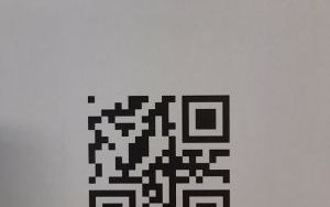 Kod QR z ukrytym bajkowym bohaterem "L"