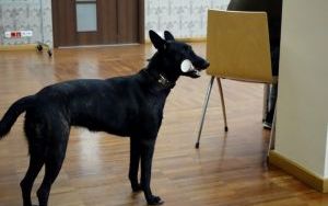 Spotkanie z Jakubem Małeckim