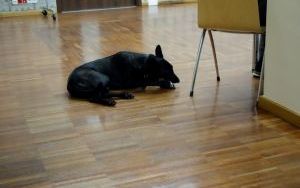 Spotkanie z Jakubem Małeckim